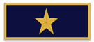 230A 1009 award bar